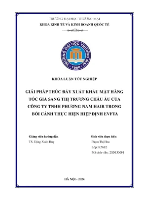 Giải pháp thúc đẩy xuất khẩu mặt hàng tóc giả sang thị trường châu âu của công ty tnhh phương nam hair trong bối cảnh thực hiện hiệp định evfta