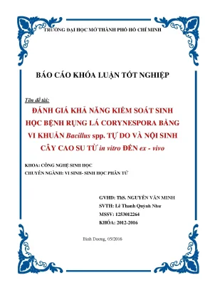 Đánh giá khả năng kiểm soát sinh học bệnh rụng lá corynespora bằng vi khuẩn bacillus spp tự do và nội sinh cây cao su từ in vitro đến ex vivo