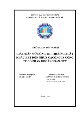 Giải pháp mở rộng thị trường xuất khẩu hạt độn nhựa caco3 của công ty cổ phần khoáng sản gcc