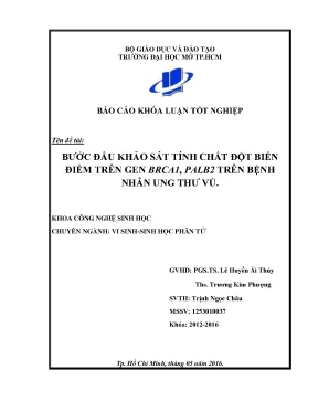 Bước đầu khảo sát tính chất đột biến điểm trên gen brca1 palb2 trên bệnh nhân ung thư vú