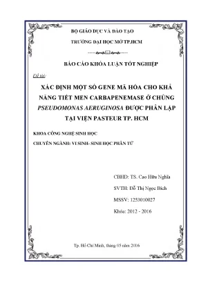 Xác định một số gane mã hóa cho khả năng tiết men carbapenemase ở chủng pseudomonas aeruginosa được phân lập tại viện pasteur tp hcm
