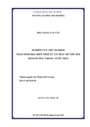 Nghiên cứu thử nghiệm than sinh học biến tính từ vỏ trấu để thu hồi dinh dưỡng trong nước thải