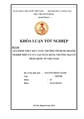Giải pháp thúc đẩy tăng trưởng tín dụng doanh nghiệp nhỏ và vừa tại ngân hàng thương mại cổ phần quốc tế việt nam