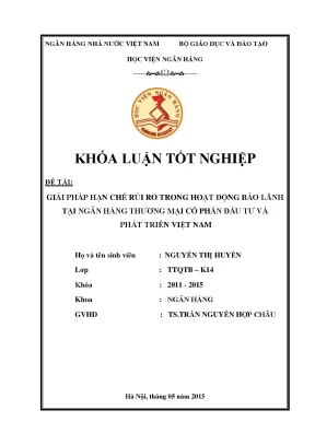 Giải pháp hạn chế rủi ro trong hoạt động bảo lãnh tại ngân hàng thương mại cổ phần đầu tư và phát triển việt nam