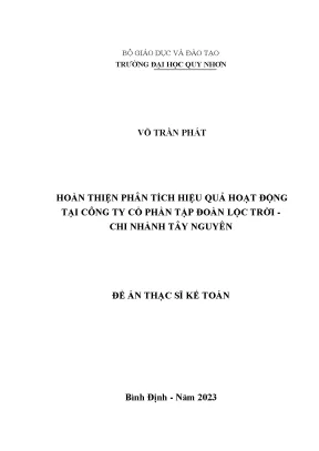 Hoàn thiện phân tích hiệu quả hoạt động tại công ty cổ phần tập đoàn lộc trời chi nhánh tây nguyên