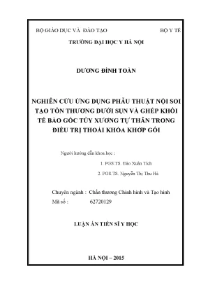 Nghiên cứu ứng dụng phẫu thuật nội soi tạo tổn thương dưới sụn và ghép khối tế bào gốc tủy xương tự thân trong điều trị thoái hóa khớp gối