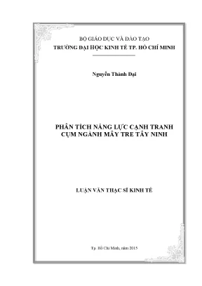 Luận văn thạc sĩ kinh tế phân tích năng lực cạnh tranh của cụm ngành mây tre đan tây ninh