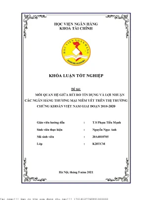 Mối quan hệ giữa rủi ro tín dụng và lợi nhuận các ngân hàng thương mại niêm yết trên thị trường chứng khoán việt nam giai đoạn 2010 2020