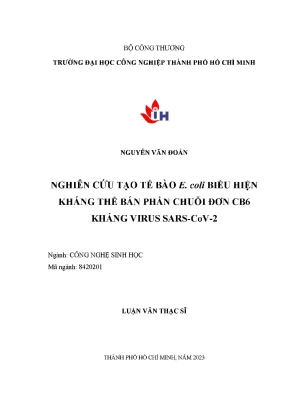 Nghiên cứu tạo tế bào e coli biểu hiện kháng thể bán phần chuỗi đơn cb6 kháng virus sars cov 2