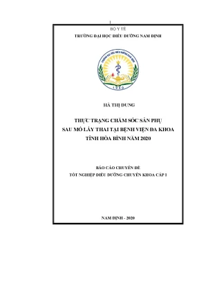 Luận văn thạc sĩ thực trạng chăm sóc sản phụ sau mổ lấy thai tại bệnh viện đa khoa tỉnh hòa bình năm 2020