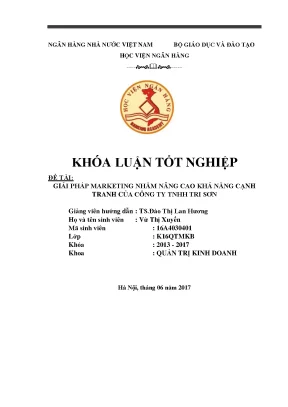Giải pháp marketing nâng cao khả năng cạnh tranh của công ty tnhh tri sơn