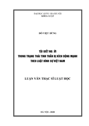 Tội giết người trong trạng thái tinh thần bị kích động mạnh theo luật hình sự việt nam