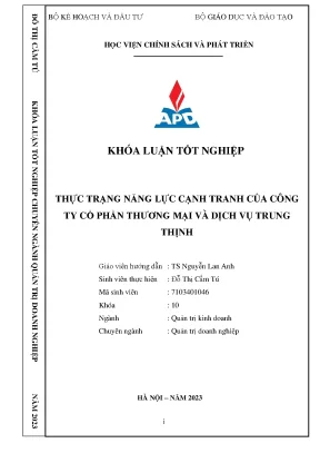 Thực trạng năng lực cạnh tranh của công ty cổ phần thương mại và dịch vụ trung thịnh