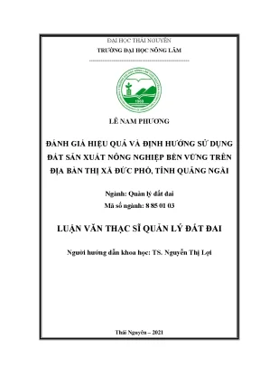 Đánh giá hiệu quả và định hướng sử dụng đất sản xuất nông nghiệp theo hướng bền vững trên địa bàn thị xã đức phổ tỉnh quảng ngãi