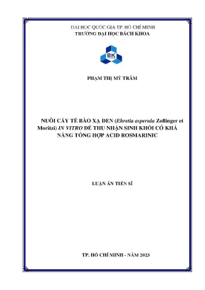 Nuôi cấy tế bào xạ đen ehretia asperula zollinger et moritzi in vitro để thu nhận sinh khối có khả năng tổng hợp acid rosmaring
