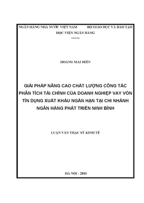 Giải pháp nâng cao chất lượng công tác phân tích tài chính của doanh nghiệp vay vốn tín dụng xuất khẩu ngắn hạn tại chi nhánh ngân hàng phát triển ninh bình