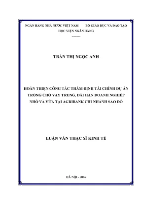 Hoàn thiện công tác thẩm định tài chính dự án trong cho vay trung hạn dài hạn doanh nghiệp nhỏ và vừa tại agribank chi nhánh sao đỏ
