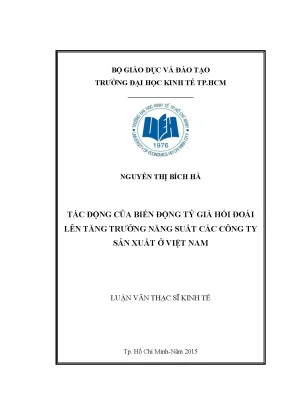 Luận văn thạc sĩ tác động của biền động tỷ giá hối đoái lên tăng trưởng năng suất các công ty sản xuất ở việt nam