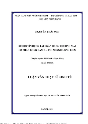 Rủi ro tín dụng tại ngân hàng thương mại cổ phần đông nam á chi nhánh long biên