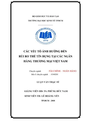 Luận văn thạc sĩ kinh tế các yếu tố ảnh hưởng đến rủi ro thẻ tín dụng tại các ngân hàng thương mại việt nam