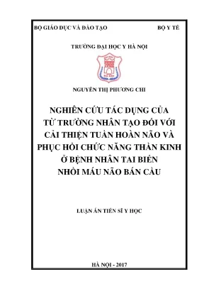 Nghiên cứu tác dụng của từ trường nhân tạo đối với cải thiện tuần hoàn não và phục hồi chức năng thần kinh ở bệnh nhân tai biến nhồi máu não bán cầu1