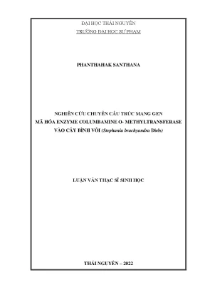 Nghiên cứu chuyển cấu trúc mang gen mã hoá enzyme columbamine omethyltransferase vào cây bình vôi stephanin brachyandra diels