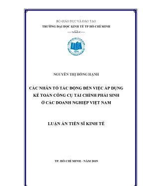 Luận án tiến sĩ kinh tế các nhân tố tác động đến việc áp dụng kế toán công cụ tài chính phái sinh ở các doanh nghiệp việt nam