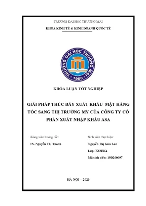 Giải pháp thúc đẩy xuất khẩu mặt hàng tóc sang thị trường mỹ của công ty cổ phần xuất nhập khẩu asa