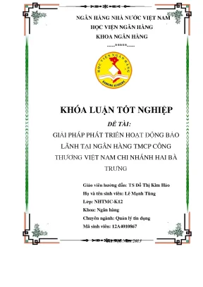Giải pháp phát triển hoạt động bảo lãnh tại ngân hàng thương mại cổ phần công thương việt nam chi nhánh hai bà trưng