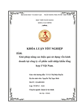 Giải pháp nâng cao hiệu quả sử dụng vốn kinh doanh tại công ty cổ phần xuất nhập khẩu tổng hợp i việt nam