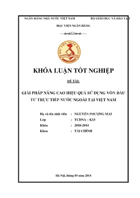 Giải pháp nâng cao hiệu quả sử dụng vốn đầu tư trực tiếp nước ngoài tại việt nam