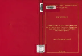 Giải pháp nâng cao chất lượng thẩm định dự án cho vay đồng tài trợ tại sở giao dịch ngân hàng nông nghiệp và phát triển nông thôn việt nam