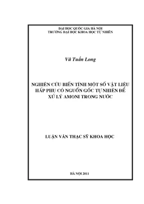 Luận văn thạc sĩ nghiên cứu biến tính một số vật liệu hấp phụ có nguồn gốc tự nhiên để xử lý amoni trong nước