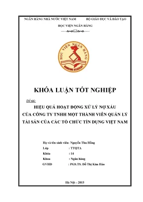 Hiệu quả hoạt động xử lý nợ xấu của công ty tnhh một thành viên quản lý tài sản của các tổ chức tín dụng việt nam