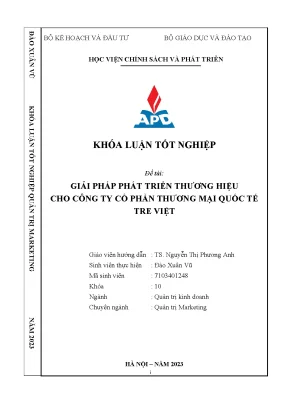 Giải pháp phát triển thương hiệu cho công ty cổ phần thương mại quốc tế tre việt