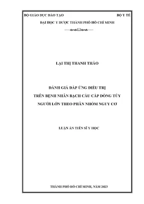 Luận án tiến sĩ đánh giá đáp ứng điều trị trên bệnh nhân bạch cầu cấp dòng tủy người lớn theo phân nhóm nguy cơ