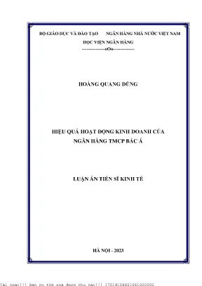 Hiệu quả hoạt động kinh doanh của ngân hàng tmcp bắc á