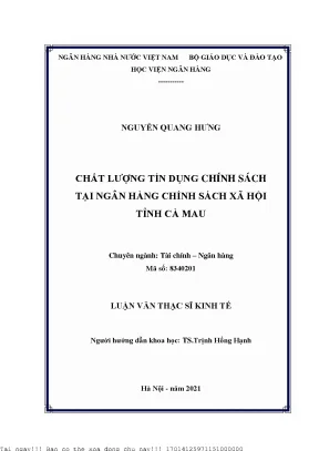Chất lượng tín dụng chính sách tại ngân hàng chính sách xã hội tỉnh cà mau