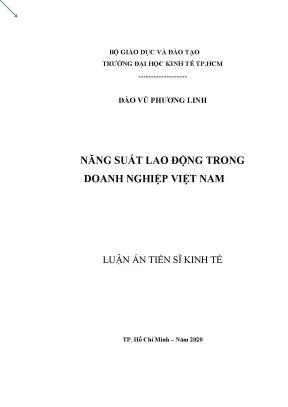 Luận án tiến sĩ kinh tế năng suất lao động trong doanh nghiệp việt nam