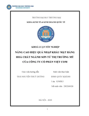Nâng cao hiệu quả nhập khẩu mặt hàng hóa chất ngành sơn từ thị trường mỹ của công ty cổ phần việt com