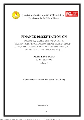 Finance dissertation on company analysis and valuation of hoa phat joint stock company hpg hoa sen group hsg nam kim steel joint stock company nkg pomina steel corporation pom