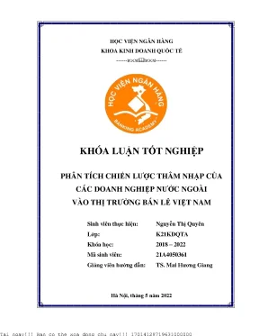 Phân tích chiến lược thâm nhập của các doanh nghiệp nước ngoài vào thị trường bán lẻ việt nam