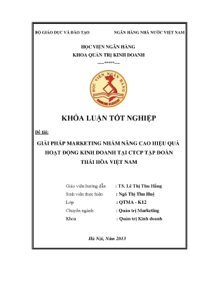 Giải pháp marketing nhằm nâng cao hiệu quả hoạt động kinh doanh tại công ty cổ phần tập đoàn thái hòa việt nam