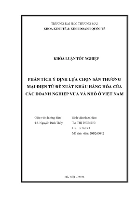 Phân tích ý định lựa chọn nền tảng thương mại điện tử để xuất khẩu hàng hóa của các doanh nghiệp vừa và nhỏ ở việt nam