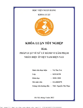 Pháp luật về xử lý hành vi xâm phạm nhãn hiệu ở việt nam hiện nay