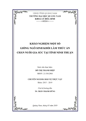 Khảo nghiệm một số giống ngô sinh khối làm thức ăn chăn nuôi gia súc tại tỉnh ninh thuận