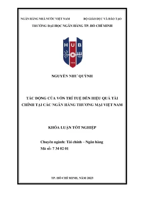 Tác động của vốn trí tuệ đến hiệu quả tài chính tại các ngân hàng thương mại việt nam