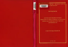 Giải pháp quản trị rủi ro tín dụng trong cho vay trung và dài hạn tại ngân hàng thương mại cổ phần đại chúng việt nam chi nhánh hà nội
