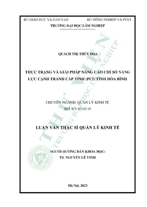 Thực trạng và giải pháp nâng cao chỉ số năng lực cạnh tranh cấp tỉnh pci của tỉnh hòa bình