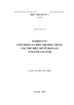 Luận án nghiên cứu chẩn đoán và điều trị phẫu thuật ung thư biểu mô tế bào gan ở người cao tuổi